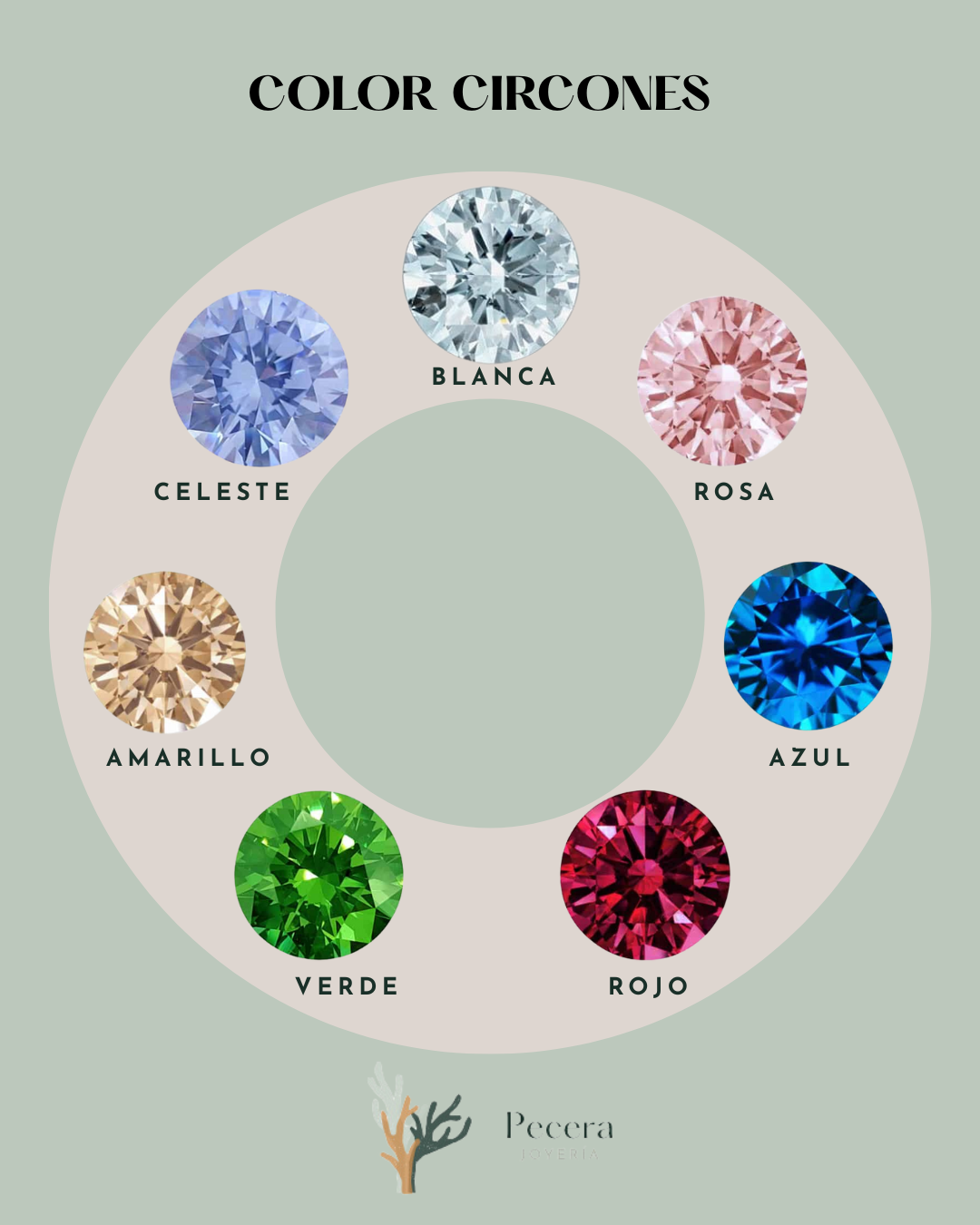 Medalla De Plata Con Colgante Personalizable y Circón - Leonor